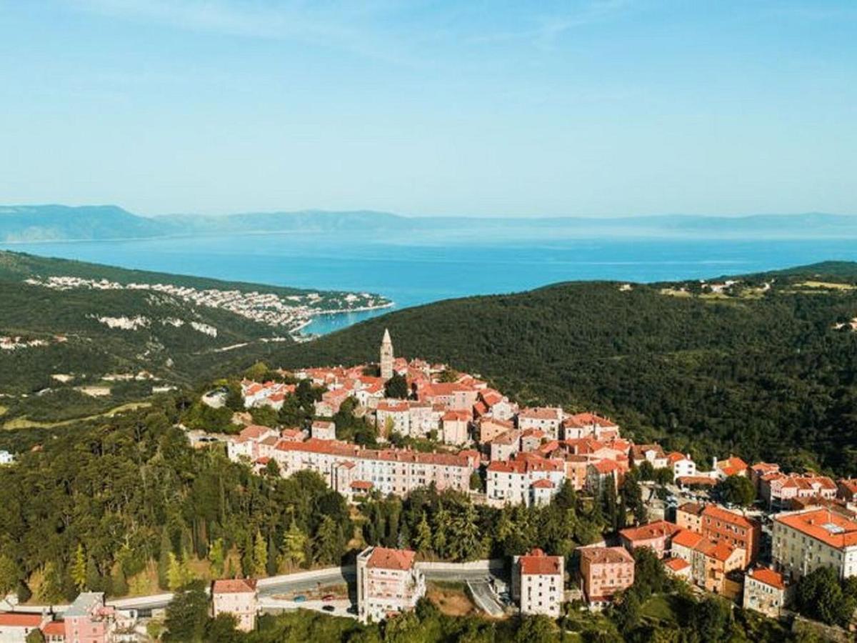 Tranquil Holiday Home In Labin With Private Swimming Pool エクステリア 写真