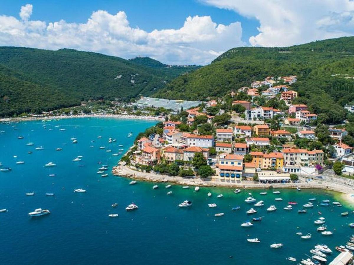 Tranquil Holiday Home In Labin With Private Swimming Pool エクステリア 写真
