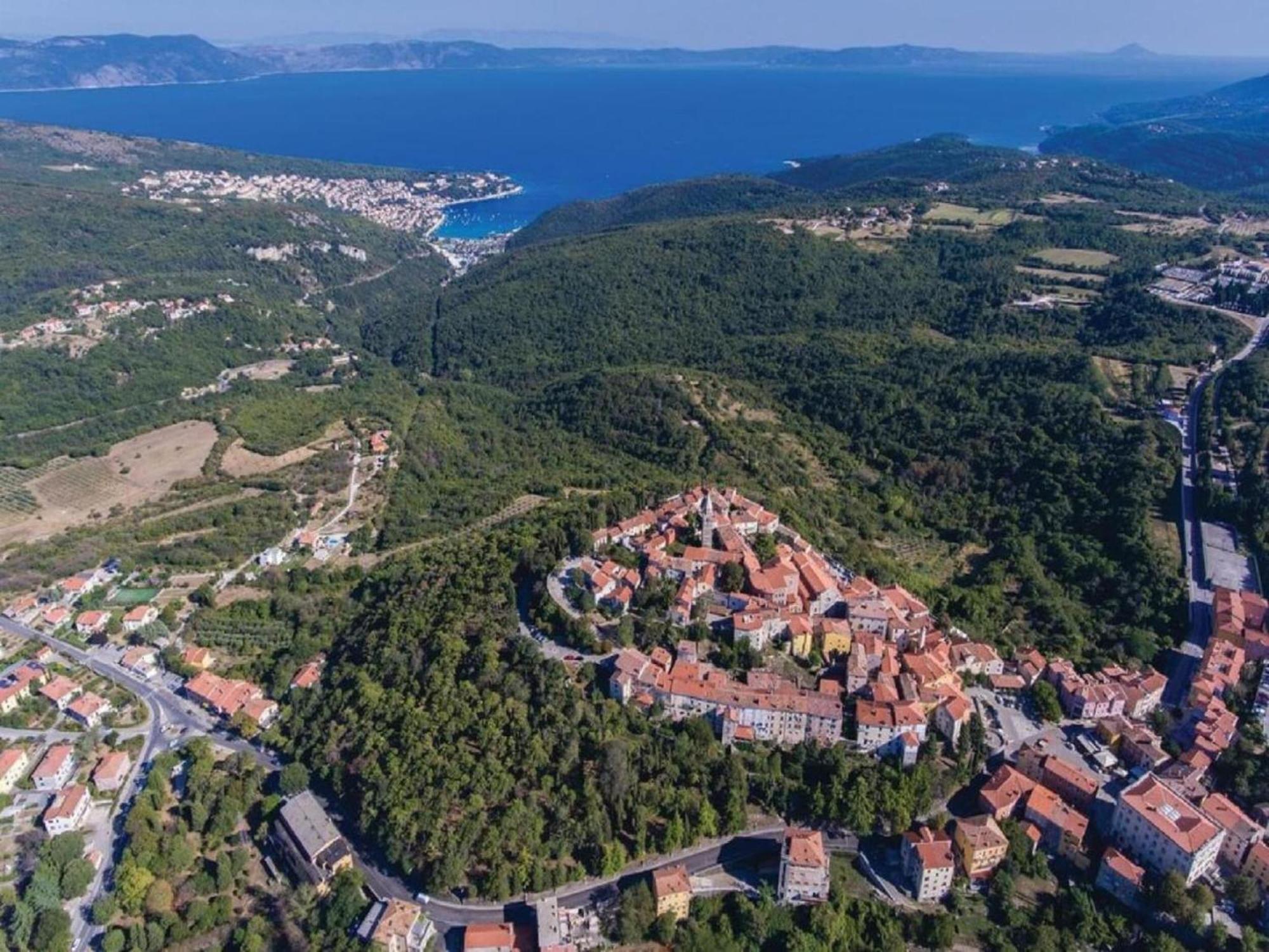 Tranquil Holiday Home In Labin With Private Swimming Pool エクステリア 写真