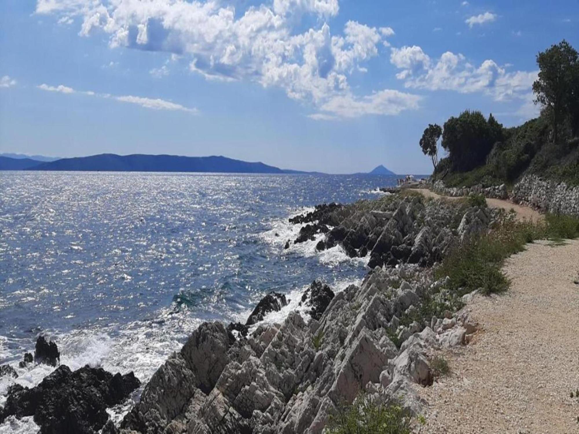 Tranquil Holiday Home In Labin With Private Swimming Pool エクステリア 写真